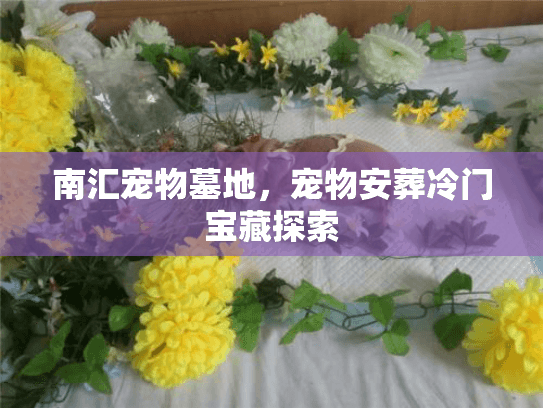 南汇宠物墓地，宠物安葬冷门宝藏探索