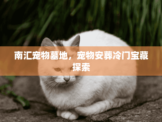 南汇宠物墓地，宠物安葬冷门宝藏探索