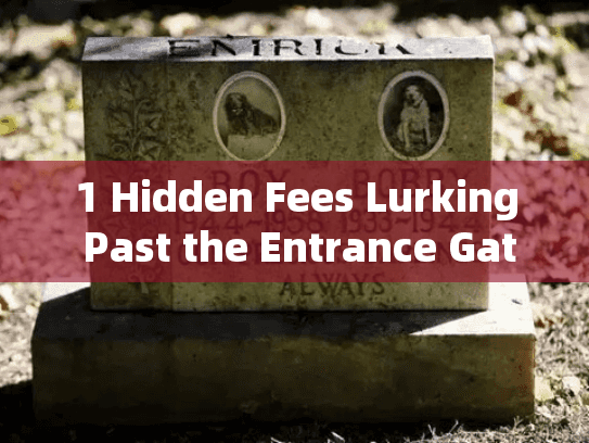 1 Hidden Fees Lurking Past the Entrance Gate