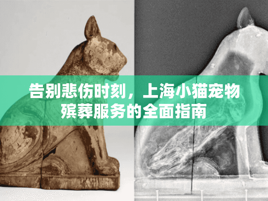 告别悲伤时刻，上海小猫宠物殡葬服务的全面指南