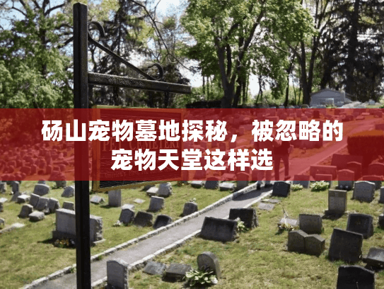 砀山宠物墓地探秘，被忽略的宠物天堂这样选