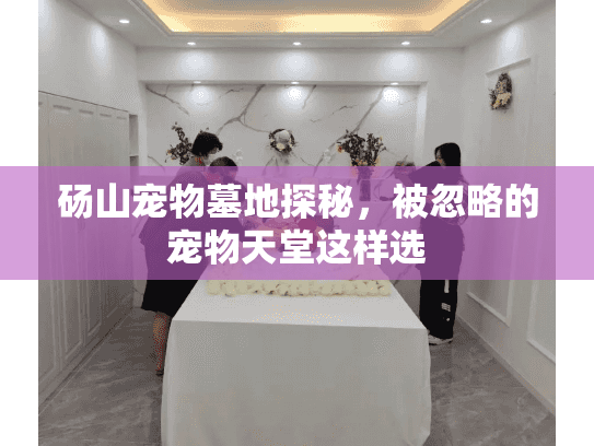 砀山宠物墓地探秘，被忽略的宠物天堂这样选