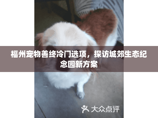 福州宠物善终冷门选项，探访城郊生态纪念园新方案