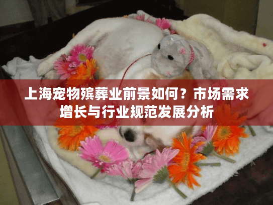 上海宠物殡葬业前景如何？市场需求增长与行业规范发展分析