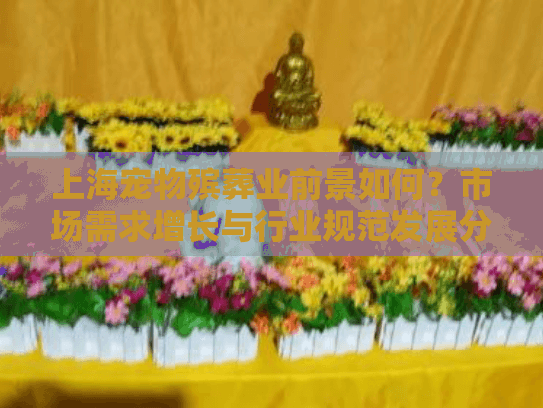 上海宠物殡葬业前景如何？市场需求增长与行业规范发展分析
