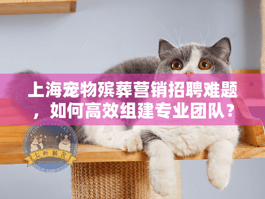 上海宠物殡葬营销招聘难题，如何高效组建专业团队？