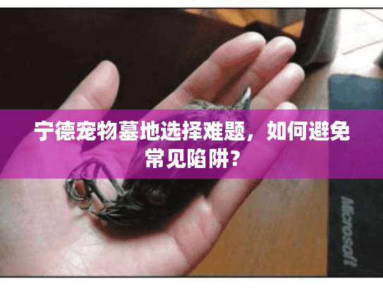 宁德宠物墓地选择难题，如何避免常见陷阱？