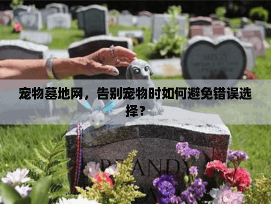 宠物墓地网，告别宠物时如何避免错误选择？