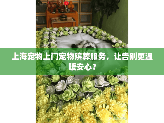 上海宠物上门宠物殡葬服务，让告别更温暖安心？