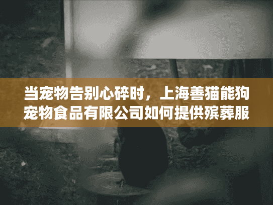 当宠物告别心碎时，上海善猫能狗宠物食品有限公司如何提供殡葬服务？