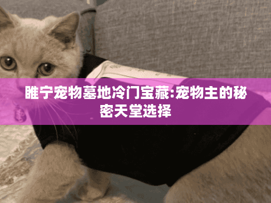 睢宁宠物墓地冷门宝藏:宠物主的秘密天堂选择