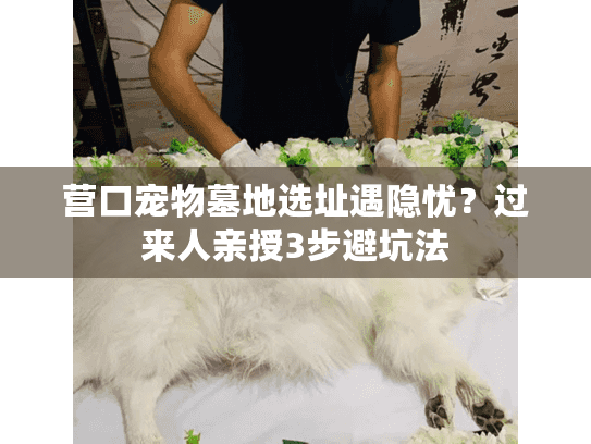 营口宠物墓地选址遇隐忧?过来人亲授3步避坑法 营口宠物墓地选址遇隐忧?过来人亲授3步避坑法