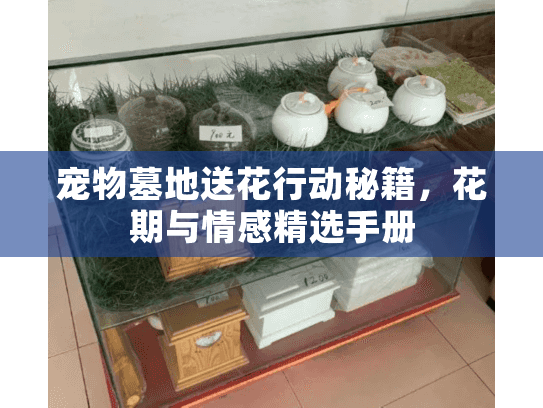 宠物墓地送花行动秘籍，花期与情感精选手册