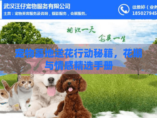 宠物墓地送花行动秘籍，花期与情感精选手册