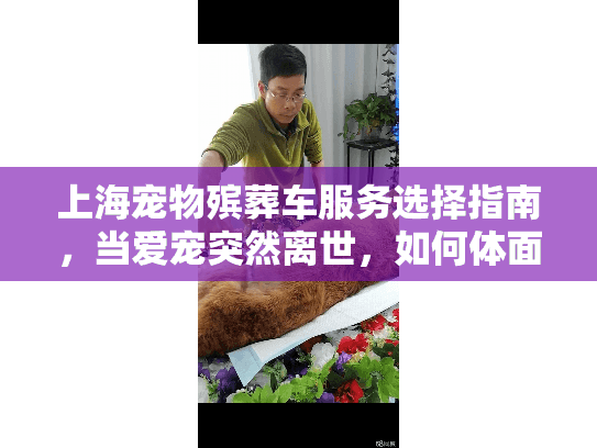 上海宠物殡葬车服务选择指南，当爱宠突然离世，如何体面告别？