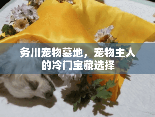 务川宠物墓地，宠物主人的冷门宝藏选择