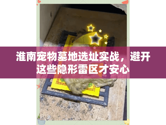 淮南宠物墓地选址实战，避开这些隐形雷区才安心