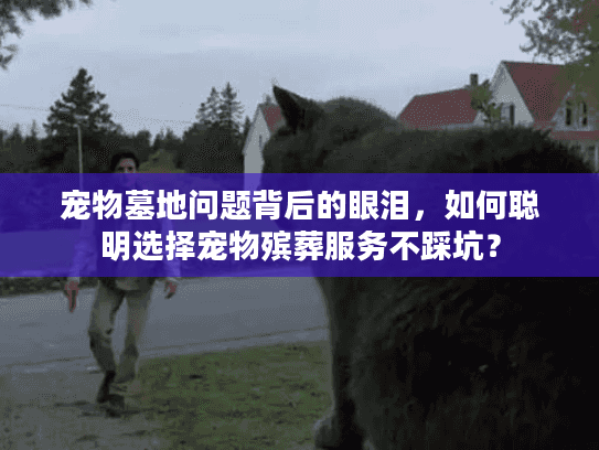 宠物墓地问题背后的眼泪，如何聪明选择宠物殡葬服务不踩坑？