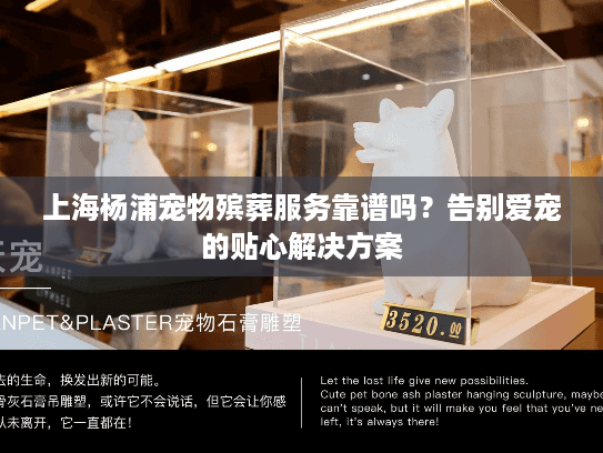 上海杨浦宠物殡葬服务靠谱吗？告别爱宠的贴心解决方案