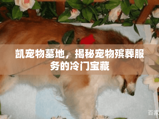 凯宠物墓地,揭秘宠物殡葬服务的冷门宝藏 凯宠物墓地,揭秘宠物殡葬服务的冷门宝藏