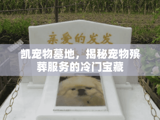 凯宠物墓地,揭秘宠物殡葬服务的冷门宝藏 凯宠物墓地,揭秘宠物殡葬服务的冷门宝藏
