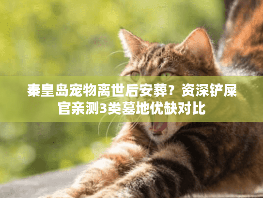 秦皇岛宠物离世后安葬?资深铲屎官亲测3类墓地优缺对比 秦皇岛宠物离世后安葬?资深铲屎官亲测3类墓地优缺对比