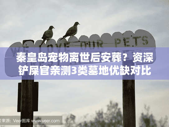 秦皇岛宠物离世后安葬?资深铲屎官亲测3类墓地优缺对比 秦皇岛宠物离世后安葬?资深铲屎官亲测3类墓地优缺对比