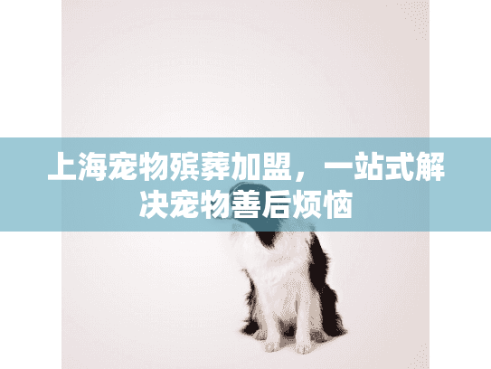 上海宠物殡葬加盟，一站式解决宠物善后烦恼