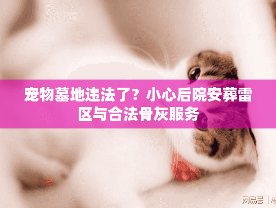 宠物墓地违法了？小心后院安葬雷区与合法骨灰服务