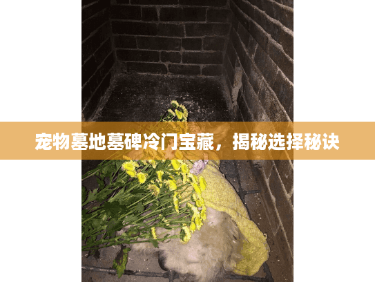 宠物墓地墓碑冷门宝藏，揭秘选择秘诀