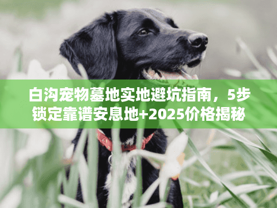 白沟宠物墓地实地避坑指南，5步锁定靠谱安息地+2025价格揭秘