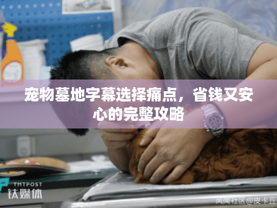 宠物墓地字幕选择痛点，省钱又安心的完整攻略