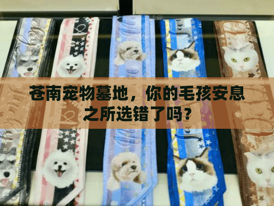 苍南宠物墓地，你的毛孩安息之所选错了吗？