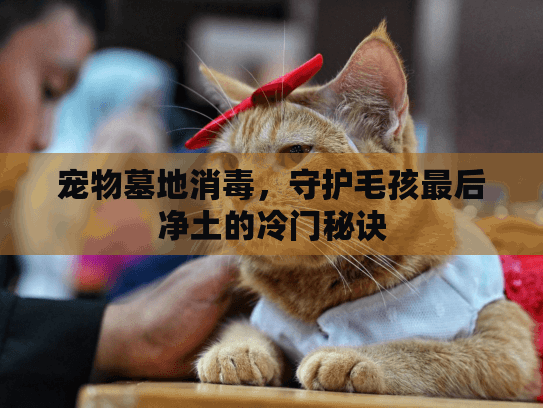 宠物墓地消毒，守护毛孩最后净土的冷门秘诀