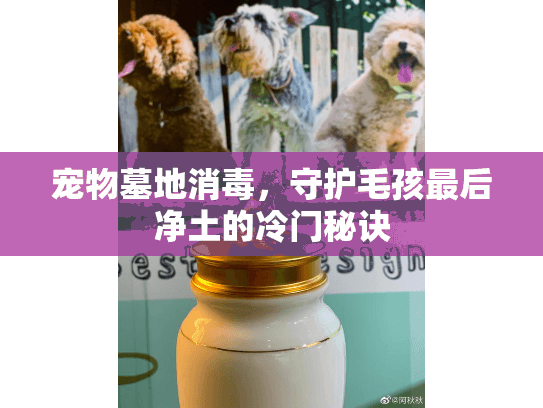 宠物墓地消毒，守护毛孩最后净土的冷门秘诀