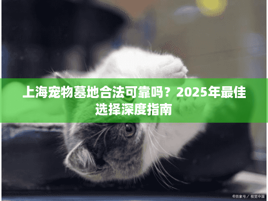 上海宠物墓地合法可靠吗？2025年最佳选择深度指南