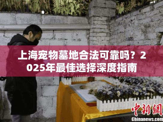 上海宠物墓地合法可靠吗？2025年最佳选择深度指南