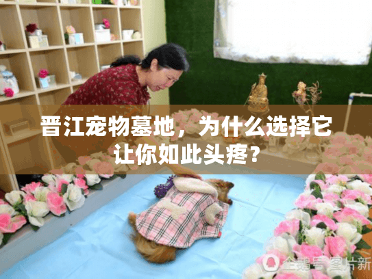 晋江宠物墓地,为什么选择它让你如此头疼? 晋江宠物墓地,为什么选择它让你如此头疼?