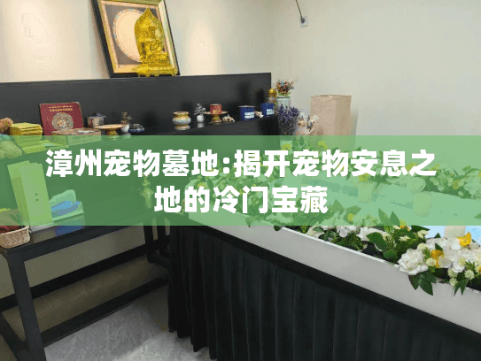 漳州宠物墓地:揭开宠物安息之地的冷门宝藏