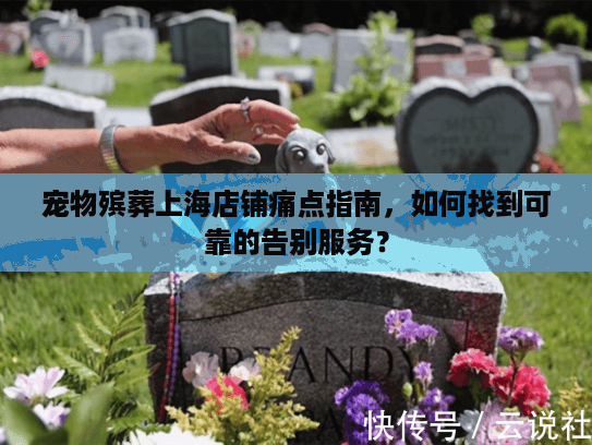 宠物殡葬上海店铺痛点指南，如何找到可靠的告别服务？
