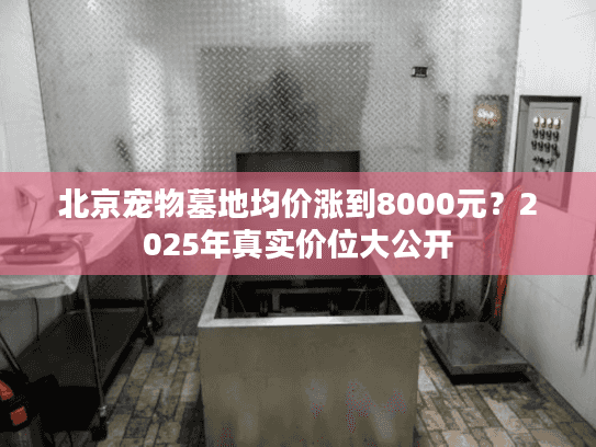 北京宠物墓地均价涨到8000元？2025年真实价位大公开