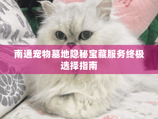 南通宠物墓地隐秘宝藏服务终极选择指南 南通宠物墓地隐秘宝藏服务终极选择指南