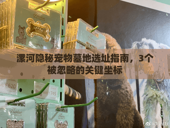 漯河隐秘宠物墓地选址指南，3个被忽略的关键坐标