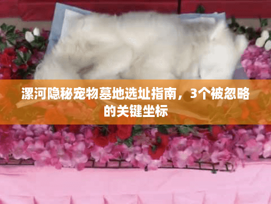 漯河隐秘宠物墓地选址指南，3个被忽略的关键坐标