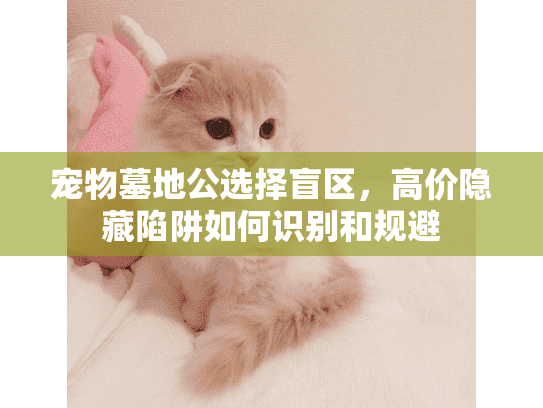 宠物墓地公选择盲区，高价隐藏陷阱如何识别和规避