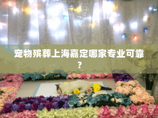 宠物殡葬上海嘉定哪家专业可靠？