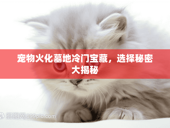 宠物火化墓地冷门宝藏，选择秘密大揭秘