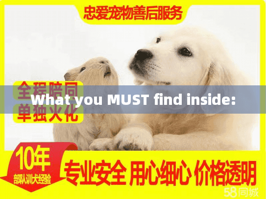 What you MUST find inside: