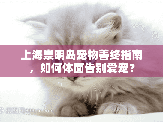 上海崇明岛宠物善终指南，如何体面告别爱宠？