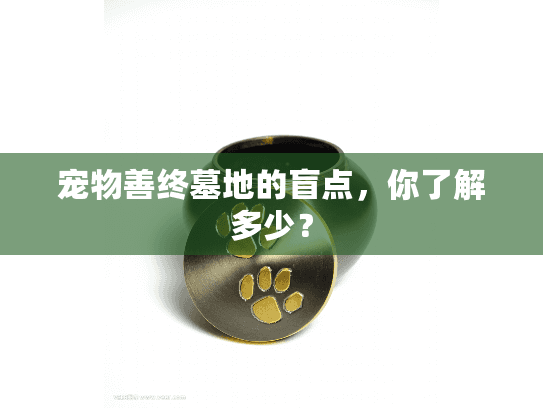 宠物善终墓地的盲点，你了解多少？
